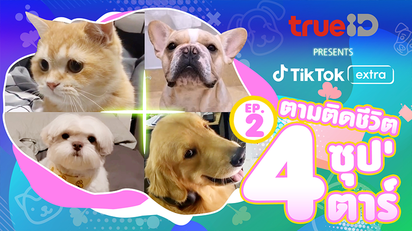TrueID presents TikTok Extra : Pets EP2 ตามติดชีวิต 4 ซุป'ตาร์