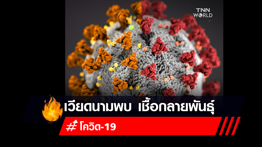 เวียดนามพบการระบาดของเชื้อไวรัสโควิด-19 กลายพันธุ์สายพันธุ์ใหม่ในประเทศ