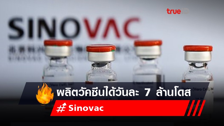 Sinovac ผลิตวัคซีนต้านโควิดได้วันละ 7 ล้านโดส
