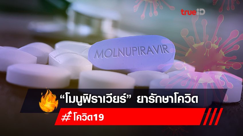 ยาเม็ดต้านโควิด! “โมลนูพิราเวียร์- Molnupiravir” ความหวังใหม่คนทั้งโลก