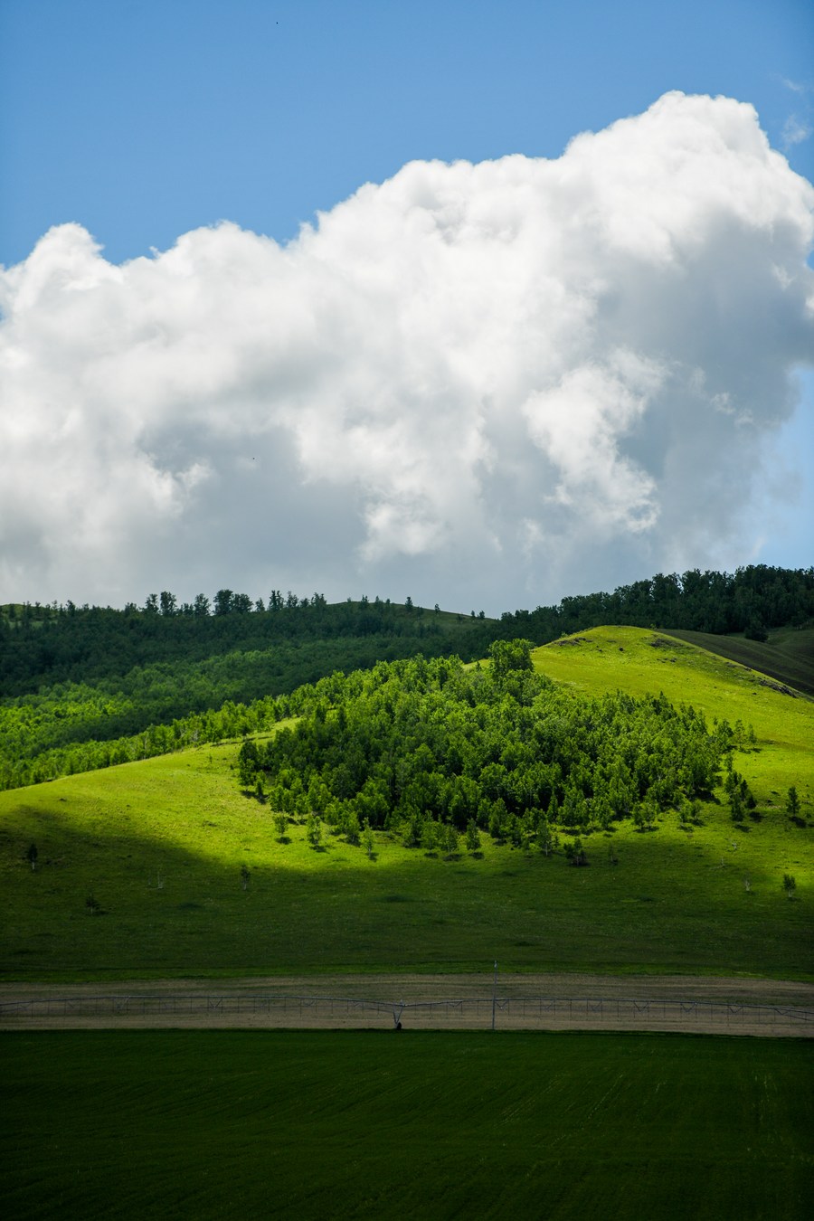 ทุ่งหญ้า 'มองโกเลียใน' เขียวชอุ่มรับคิมหันตฤดู