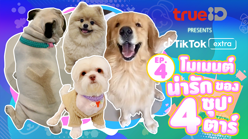 TrueID presents TikTok Extra : Pets EP4 ตามติดชีวิต 4 ซุป'ตาร์