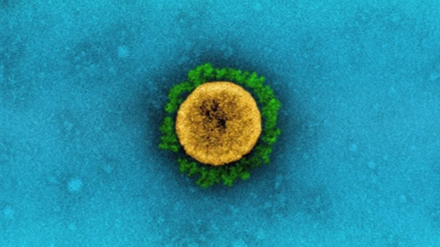 โลกจับตา “แลมบ์ดา” ไวรัสโควิดสายพันธุ์ใหม่ อันตรายกว่าเดลตาจริงหรือ