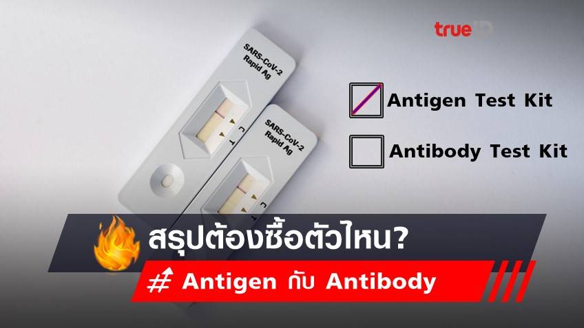 เช็กก่อน! ชุดตรวจโควิด  Antigen กับ Antibody สรุปต้องซื้อตัวไหน?