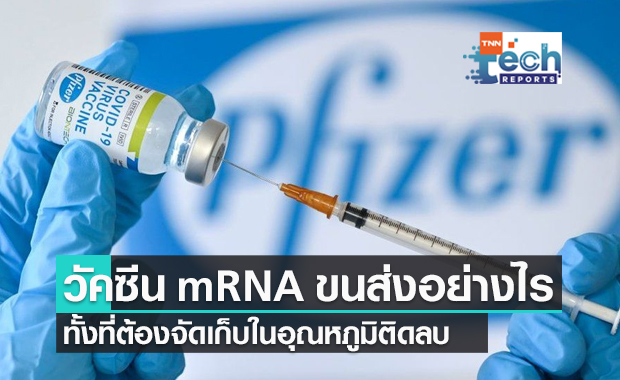 วัคซีน mRNA เดินทางมาอย่างไร ทั้งที่ต้องจัดเก็บในอุณหภูมิติดลบ