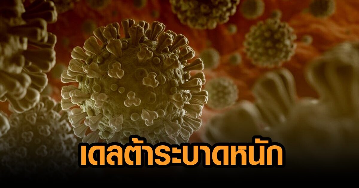 ทั่วไทยป่วน โควิดเดลต้าระบาดหนัก 63% เฉพาะคนกรุง พบสูง 77%