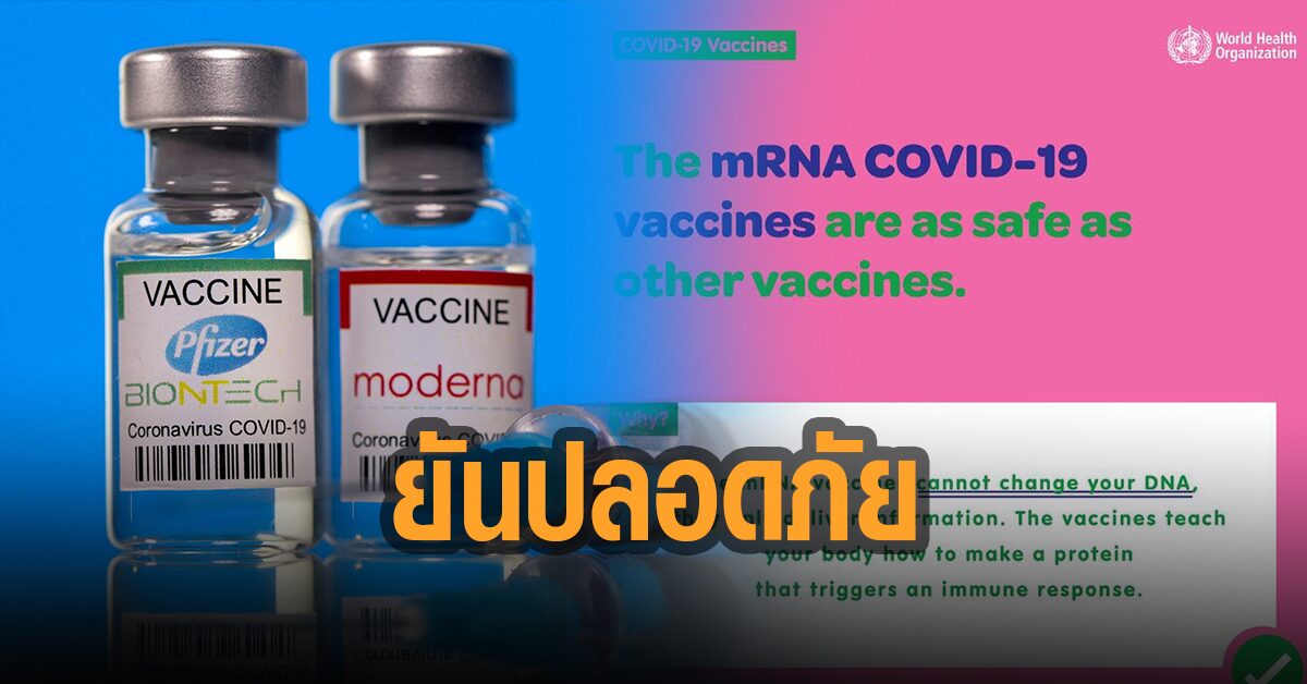 WHO ยืนยัน วัคซีน mRNA ไม่เปลี่ยนแปลงพันธุกรรม ปลอดภัยเหมือนวัคซีนอื่น