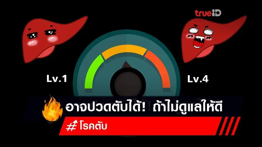 อาการโรคตับ เริ่มแรกจะรู้ได้อย่างไร ? วัด Level กันหน่อย