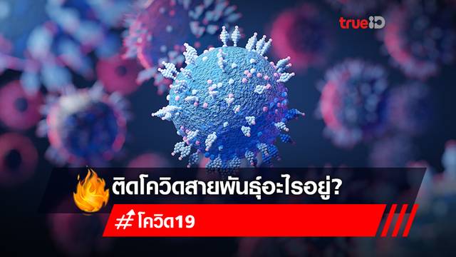 เช็กอาการติดโควิดสายพันธุ์ไหน? เทียบอาการติดโควิด-19 กับสายพันธุ์ที่ระบาดในไทย เช็กอาการติดโควิดสายพันธุ์ไหน? เทียบอาการติดโควิด-19 กับสายพันธุ์ที่ระบาดในไทย