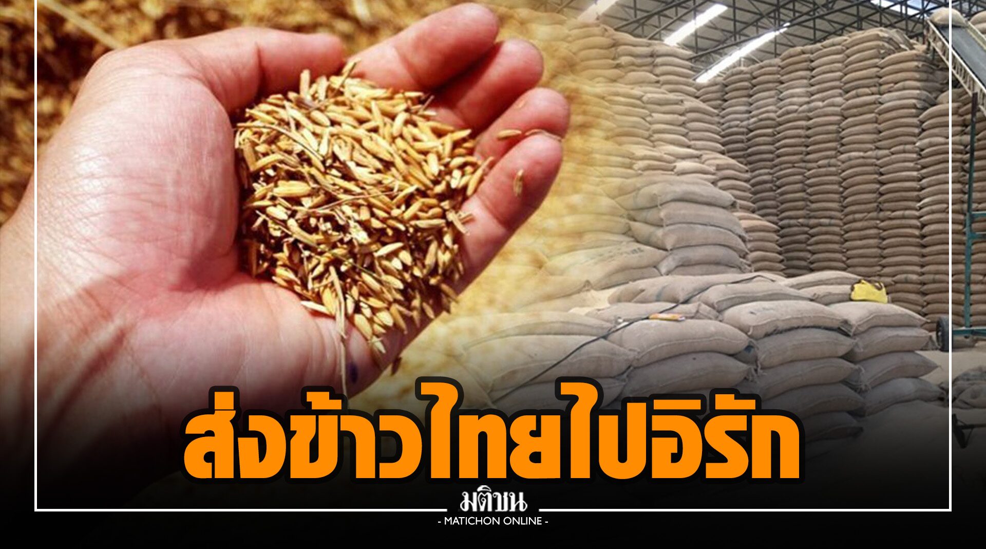 รบ. เตรียมส่งข้าวไทย 4.4 หมื่นตัน ไปอิรักในรอบ 7 ปี เล็งเปิดตลาดใหม่เพิ่ม หลังการบริโภคในปท.ชะลอตัว