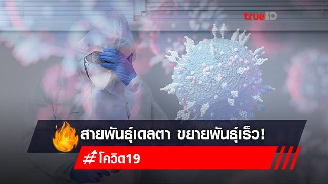 "สายพันธุ์เดลตา" รุนแรง ขยายพันธุ์เร็วกว่าสายพันธุ์อื่น 1,000 เท่า! "สายพันธุ์เดลตา" รุนแรง ขยายพันธุ์เร็วกว่าสายพันธุ์อื่น 1,000 เท่า!