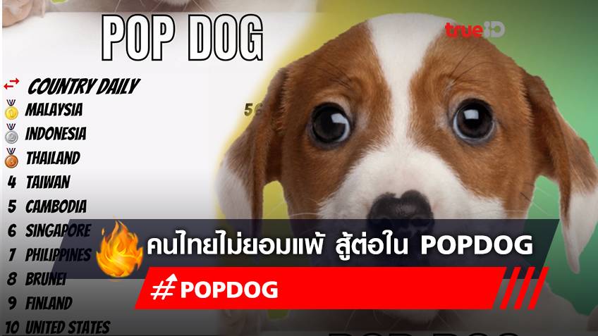 "POPCAT" ส่งไม้ต่อให้ "POPDOG" สอนวิธีเล่นเกม อยากเล่นคลิก "popdog.click"