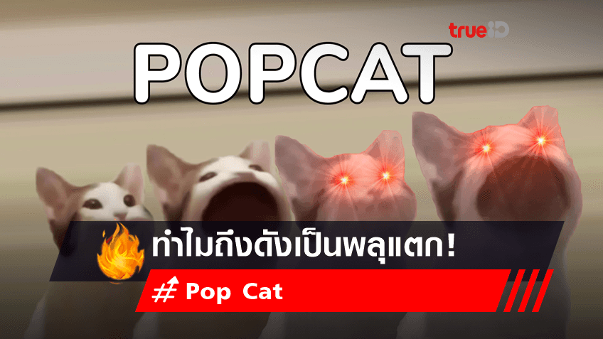ทำไม "Pop Cat" ถึงดังเป็นพลุแตกในไทย!!
