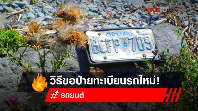 ป้ายทะเบียนรถหลุดหาย ตอนน้ำท่วม ต้องทํายังไง? ป้ายทะเบียนรถหลุดหาย ตอนน้ำท่วม ต้องทํายังไง?