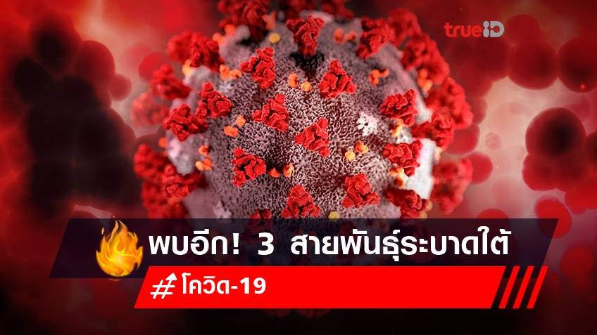 สธ.พบโควิด 3 สายพันธุ์ระบาดใต้ เร่งมาตรการคุมโรค-ระดมฉีดวัคซีน