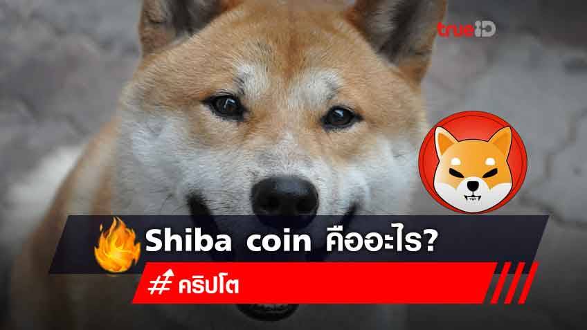 Shiba coin คืออะไร