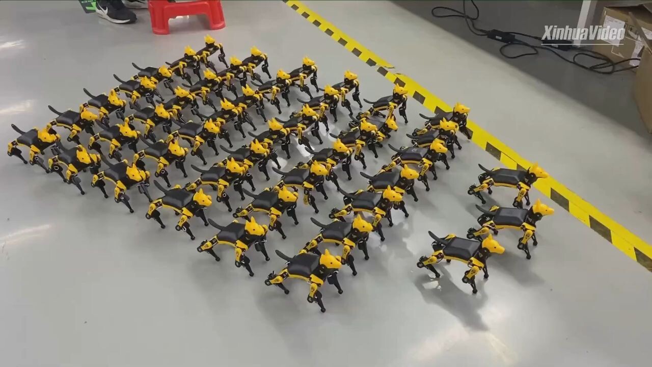 สตาร์ตอัปจีนสร้าง 'หุ่นยนต์สัตว์เลี้ยง' ไซส์ฝ่ามือ ขายดีทั่วโลก