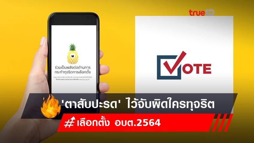 เลือกตั้ง อบต. 2564 : โหลดแอปพลิเคชัน 'ตาสับปะรด' ไว้จับผิดใครทุจริต