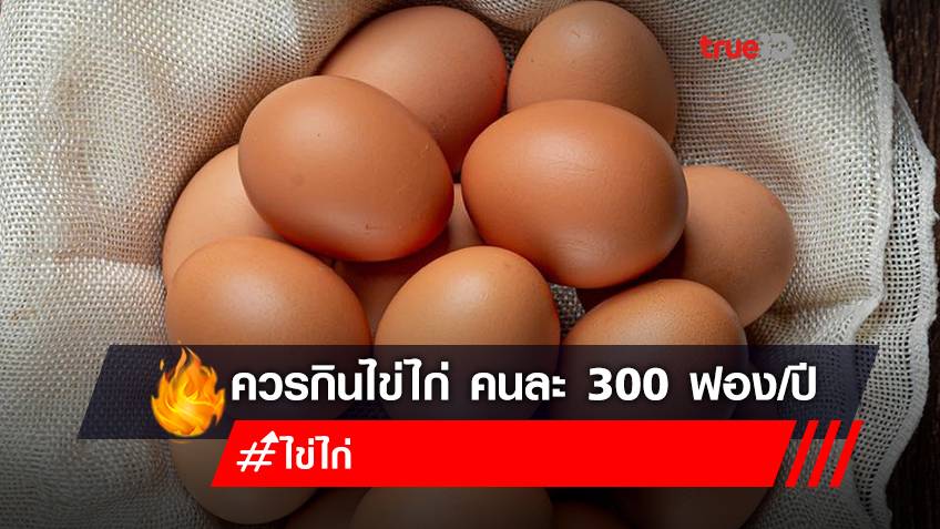 ส่งเสริมคนไทยกิน “ไข่ไก่" คนละ 300 ฟอง/ปี แหล่งโปรตีนคุณภาพดีเหมาะสำหรับทุกวัย