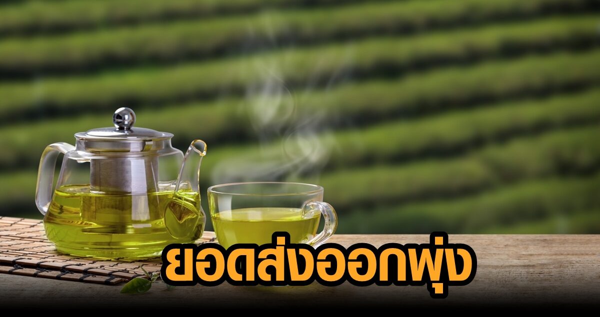 ชาไทย สินค้าดาวรุ่ง สนค.เผยยอดส่งออก 7 เดือน มูลค่าพุ่ง 119%