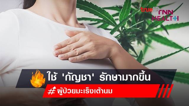 ผู้ป่วยมะเร็งเต้านม หันมาใช้ 'กัญชา' รักษามากขึ้น ผู้ป่วยมะเร็งเต้านม หันมาใช้ 'กัญชา' รักษามากขึ้น