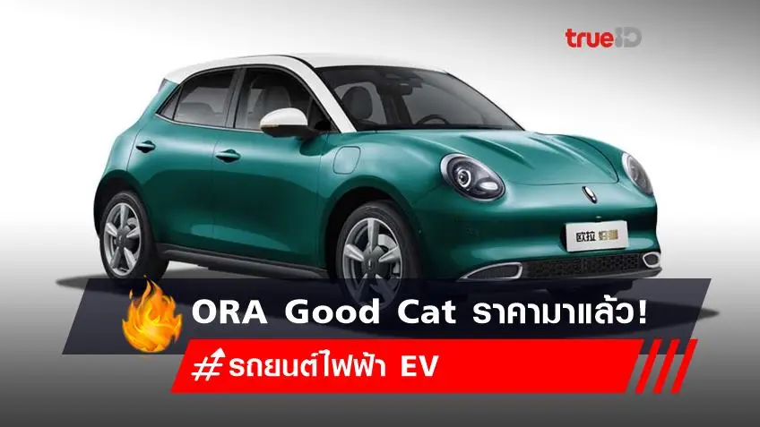 ORA Good Cat ราคามาแล้ว! เช็กเลย