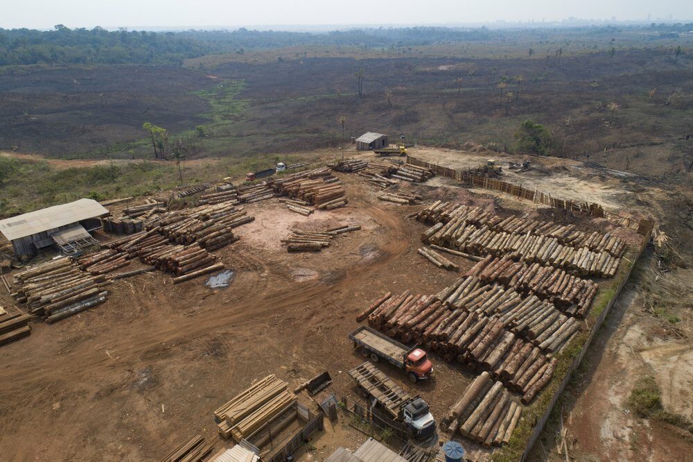 ผู้นำกว่า 100 ชาติให้คำมั่น เลิกตัดไม้ทำลายป่าภายในปี 2573