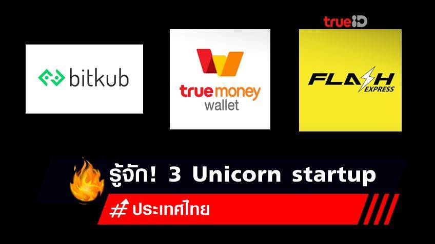 ปี 2021 ปีทองของไทยมี Unicorn startup อะไรบ้าง?