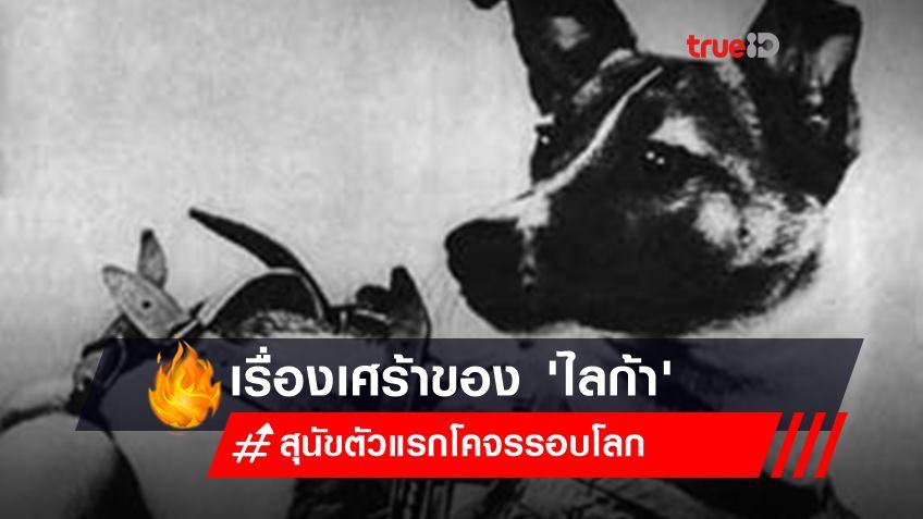 3 พฤศจิกายน : เรื่องเศร้าของ 'ไลก้า' สุนัขตัวแรกโคจรรอบโลก กรุยทางการบินอวกาศมนุษย์