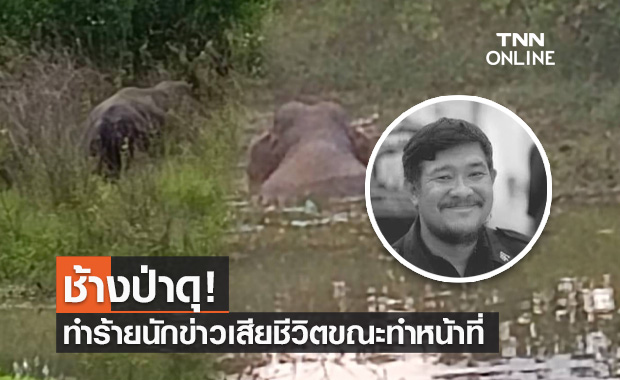 สุดเศร้า! นักข่าวจันทบุรีถูก "พลายโหนก" ช้างป่า ทำร้ายจนเสียชีวิตขณะทำหน้าที่