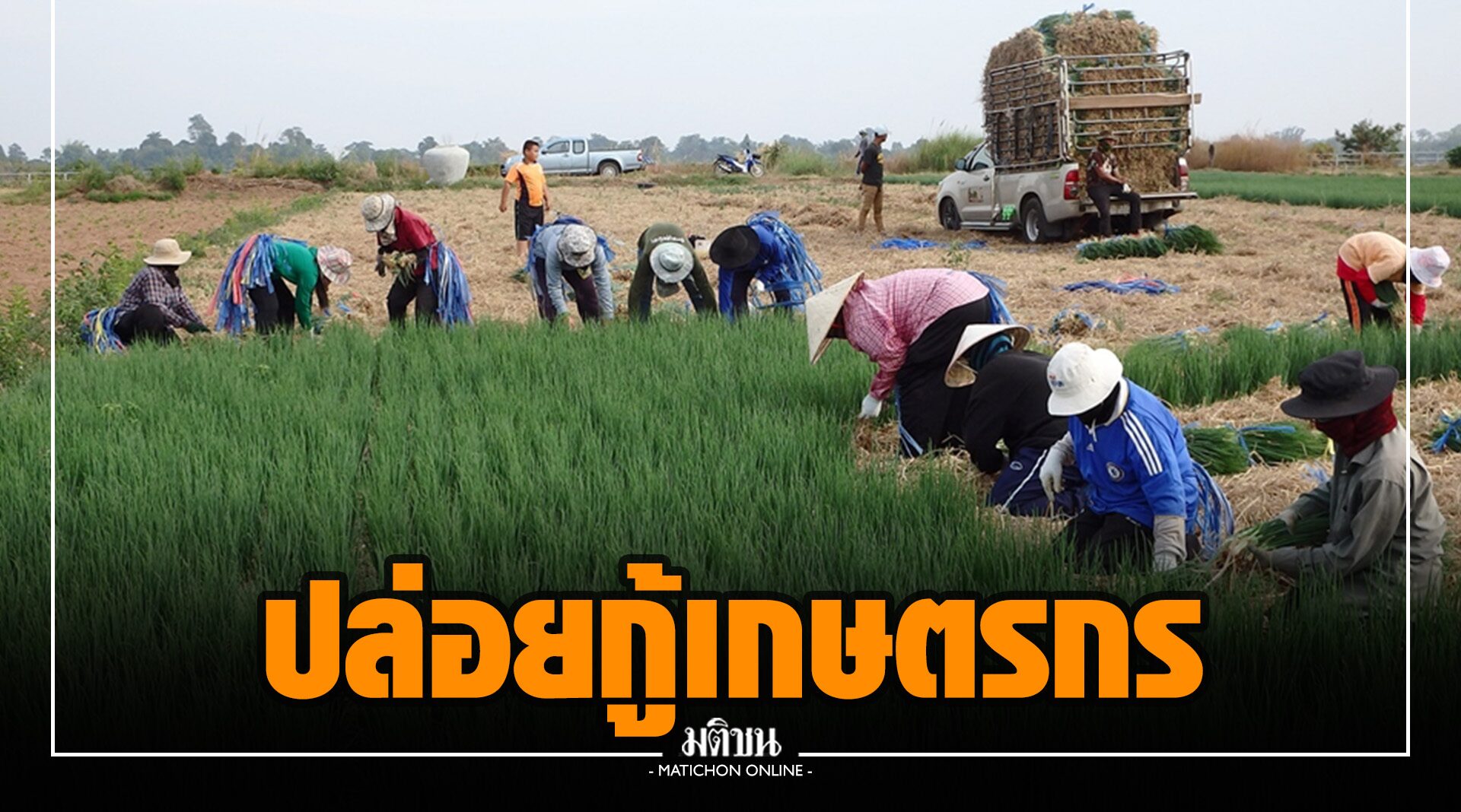 รบ.เปิดสินเชื่อ 'ธุรกิจชุมชนสร้างไทย' ดอกเบี้ย 0.01% 3 ปีแรก หนุนเกษตรกรไทยปลูก 3ก.