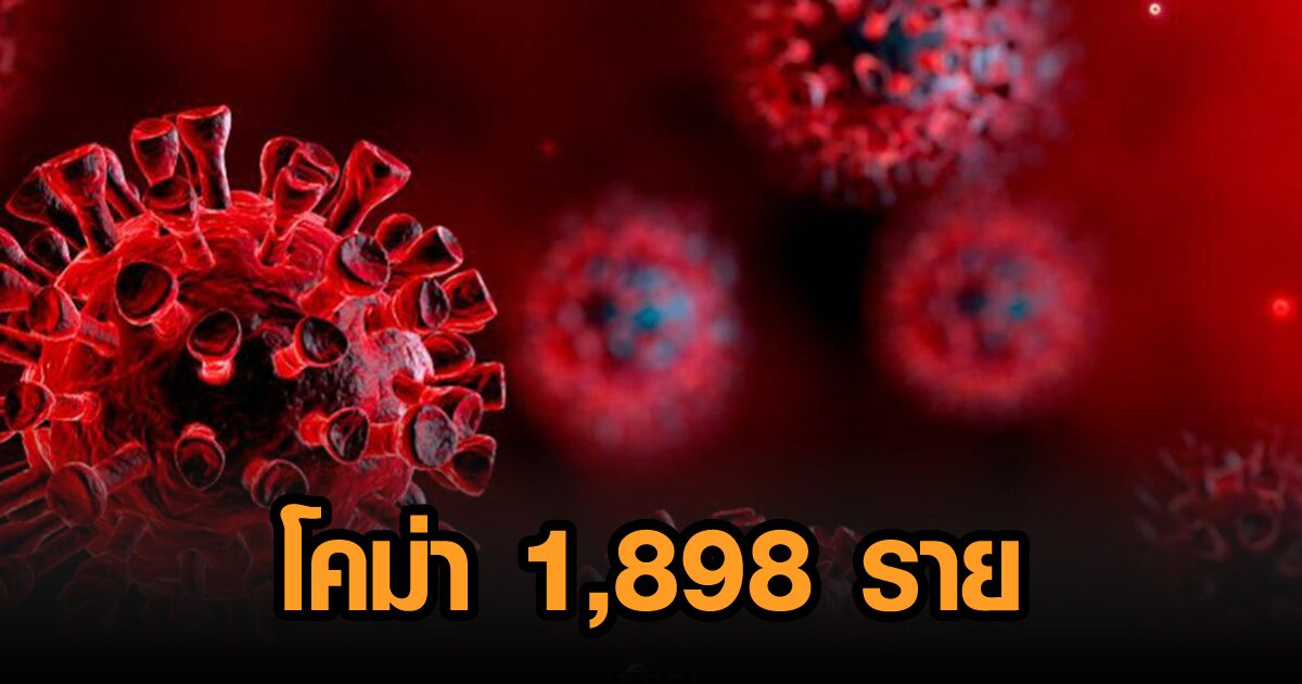 โควิดโคม่า 1,898 ราย 'เรือนจำ' ป่วยใหม่ 258 ราย 'กทม.-สงขลา-ปัตตานี' ยังพุ่งไม่หยุด