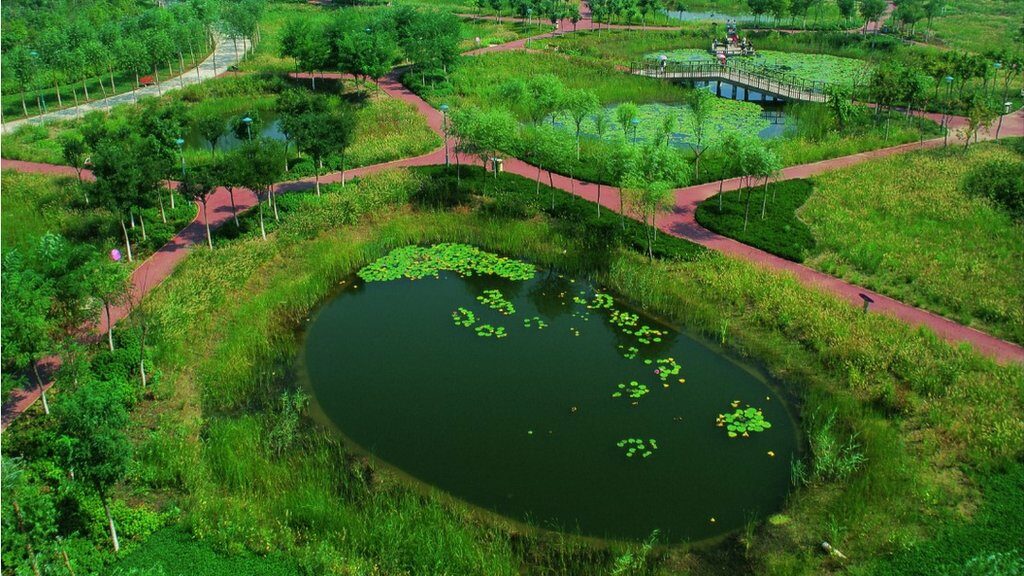 น้ำท่วม : ชายผู้ออกแบบเมืองในจีนให้เป็น “ฟองน้ำยักษ์” รับมือน้ำท่วม