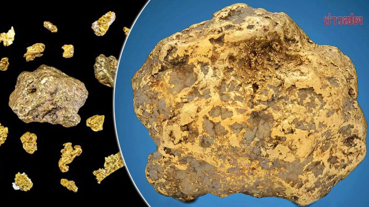 ก้อนทองคำ “เซนเทนเนียลนักเก็ต” หนัก 9 กิโลฯ-ลุ้นประมูล 32 ล้าน!