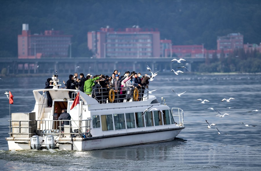 ล่องเรือชมฝูงนางนวลแดง ที่เขื่อนไห่เกิงในคุนหมิง