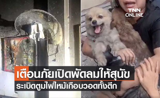 เตือนภัย! เปิดพัดลมให้สุนัขคลายร้อน ก่อนลัดวงจรระเบิดตูมไฟไหม้ตึก โชคดีเจ้าของพาหนีทัน