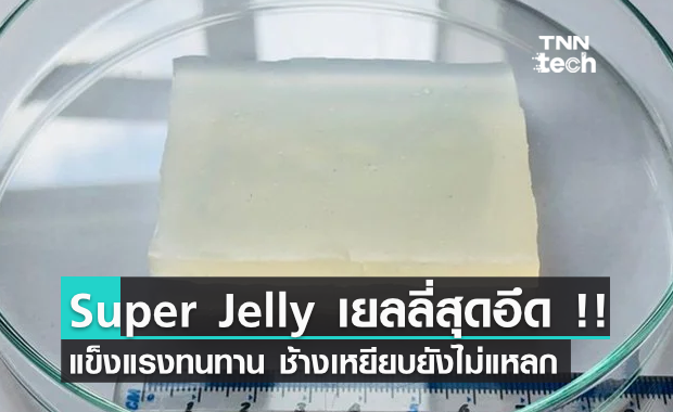 Super Jelly ข้างนอกซอฟต์ใสแต่ภายในแข็งแรง ช้างเหยียบยังไม่แหลก !!