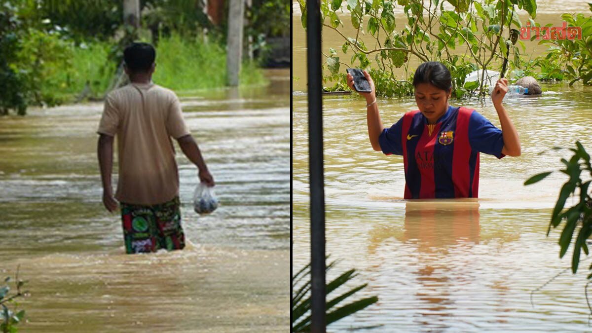 พัทลุง น้ำท่วม 5 อำเภอ 8,000 ครอบครัวอ่วม ต้องเดินลุยน้ำมาซื้ออาหาร