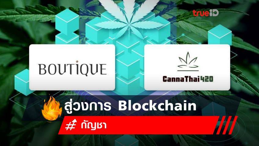 บูทิค เปิดตัว CannaThai420 นำธุรกิจกัญชาก้าวสูวงการ Blockchain