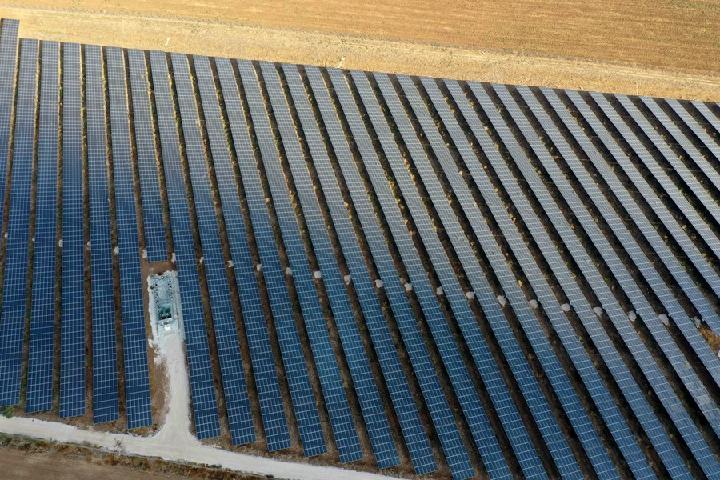อิสราเอลเตรียมทดสอบ 'ไฟฟ้าพลังงานแสงอาทิตย์' บนพื้นที่เกษตร