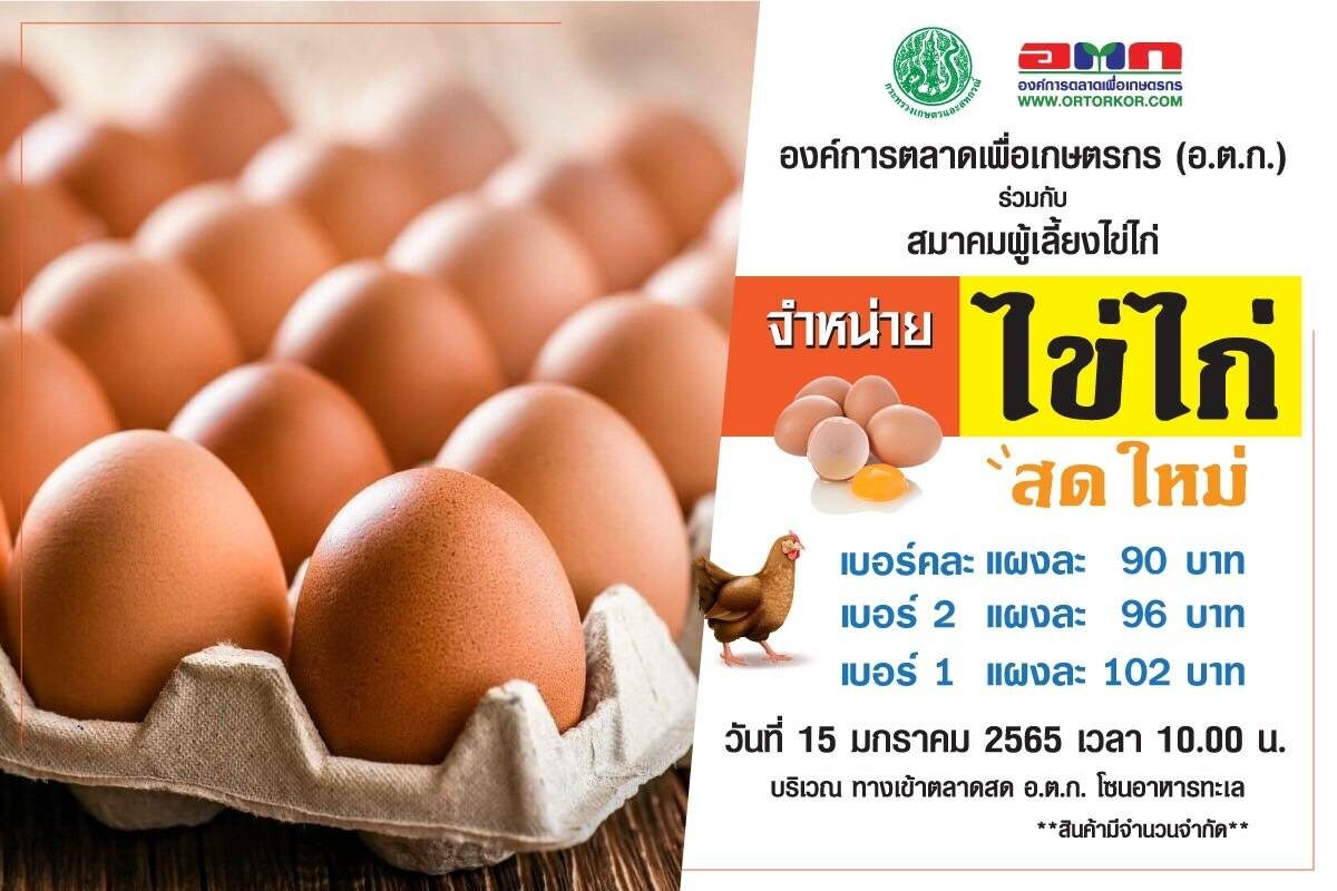 ตลาด อ.ต.ก. เปิดจุดขายไข่ไก่ราคาพิเศษ 15 ม.ค. 65 นี้