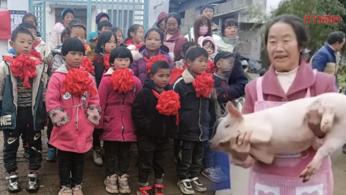 โรงเรียนจีนแจกลูกหมู 'ฟรี' ให้กับเด็กเรียนเก่ง-คะแนนดี หวังต่อยอดฟื้นฟูเศรษฐกิจชุมชนในอนาคต