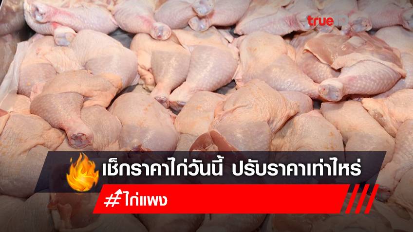 เช็กราคาไก่วันนี้ ล่าสุด บิ๊กซี แม็คโคร โลตัส ราคาไก่สด 60-65 บาท/กก. เนื้ออก 70-75 บาท/กก.