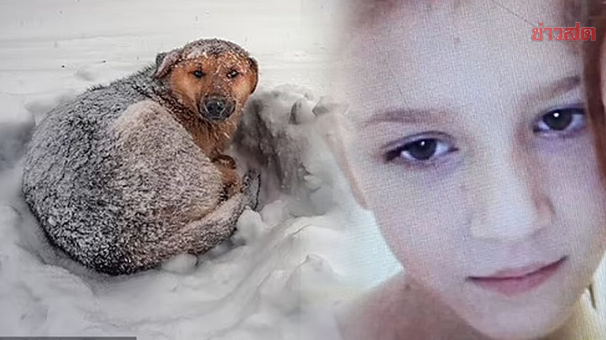 เด็กหญิงรัสเซีย นอนกอดหมาจรจัด รอดตายปาฏิหาริย์กลางพายุหิมะ -11 องศา