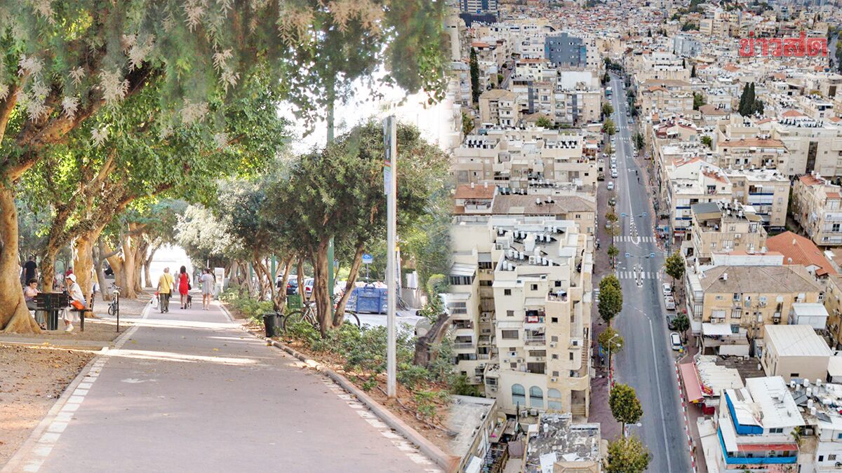 อิสราเอลฉลุยงบฯ 2 หมื่นล้าน ปลูกต้นไม้ 4.5 แสนต้น-ริมถนน 3 ล้านเมตร