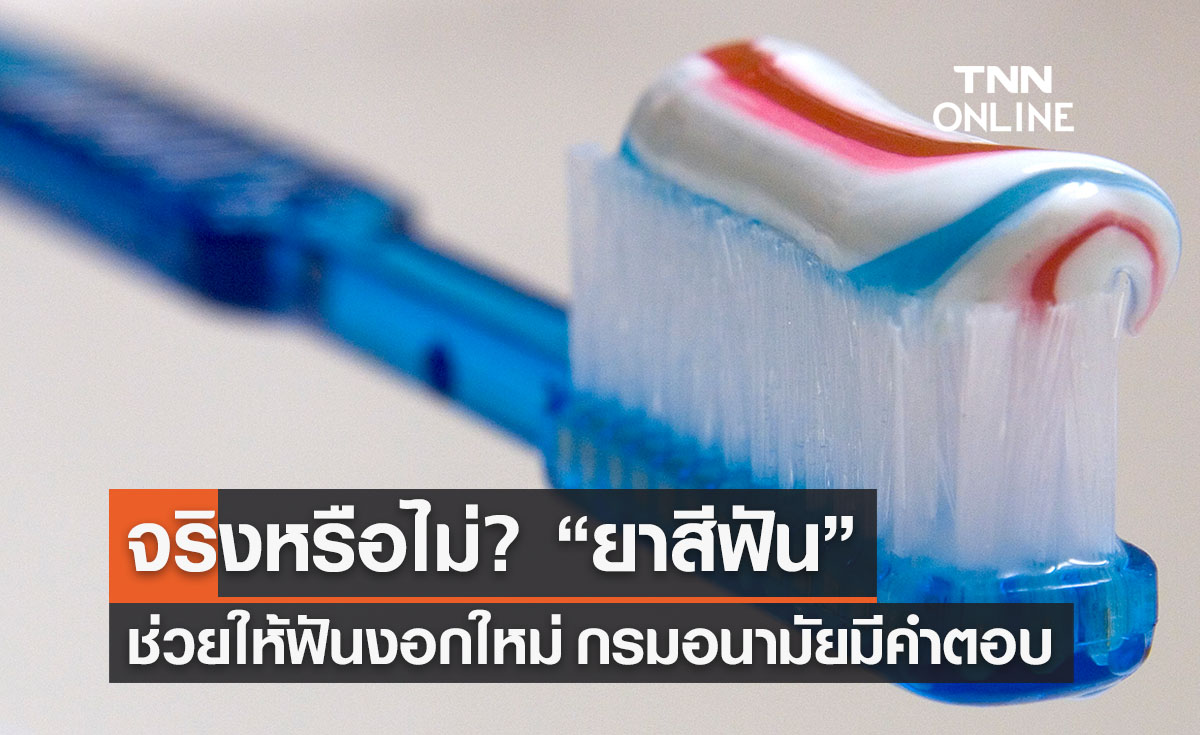 จริงหรือไม่? ยาสีฟัน ช่วยให้ฟันงอกใหม่ กรมอนามัยตอบแล้ว!