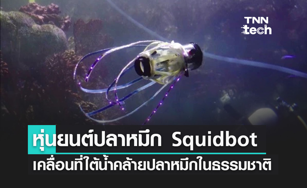 หุ่นยนต์ปลาหมึก Squidbot ลำตัวอ่อนนุ่มเคลื่อนที่ใต้น้ำคล้ายปลาหมึกในธรรมชาติ