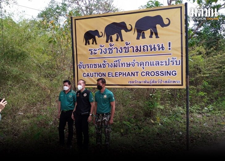 กรมอุทยานฯ เอาจริง! ติดป้ายเตือนขับรถชนช้างป่าสลักพระคุก 10 ปี ปรับ 1 ล้าน