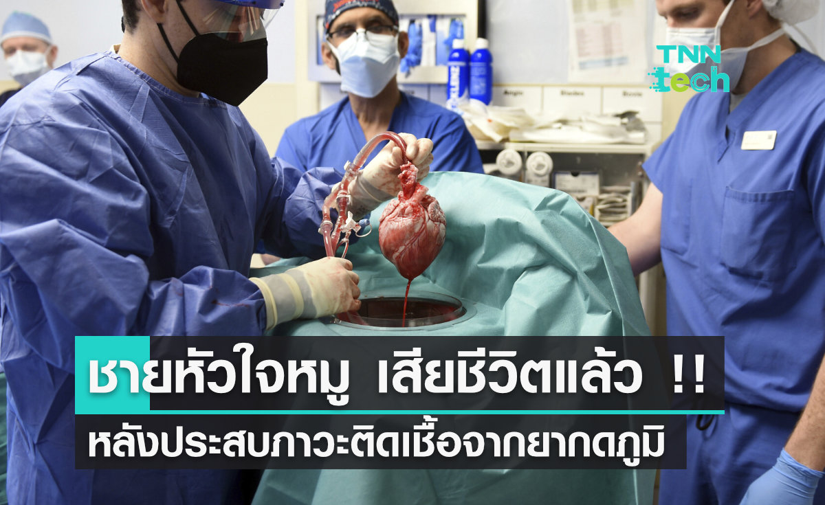 ผู้ป่วยที่ได้รับการปลูกถ่าย "หัวใจหมู" คนแรกของโลก เสียชีวิตแล้วด้วยเหตุจากภาวะติดเชื้อ
