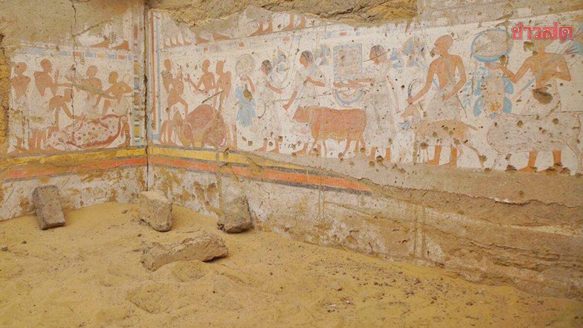 อียิปต์พบ “หลุมศพโบราณ” 5 แห่ง เก่าแก่กว่า 4,000 ปี-ใกล้พีระมิดฟาโรห์เมเรนเร